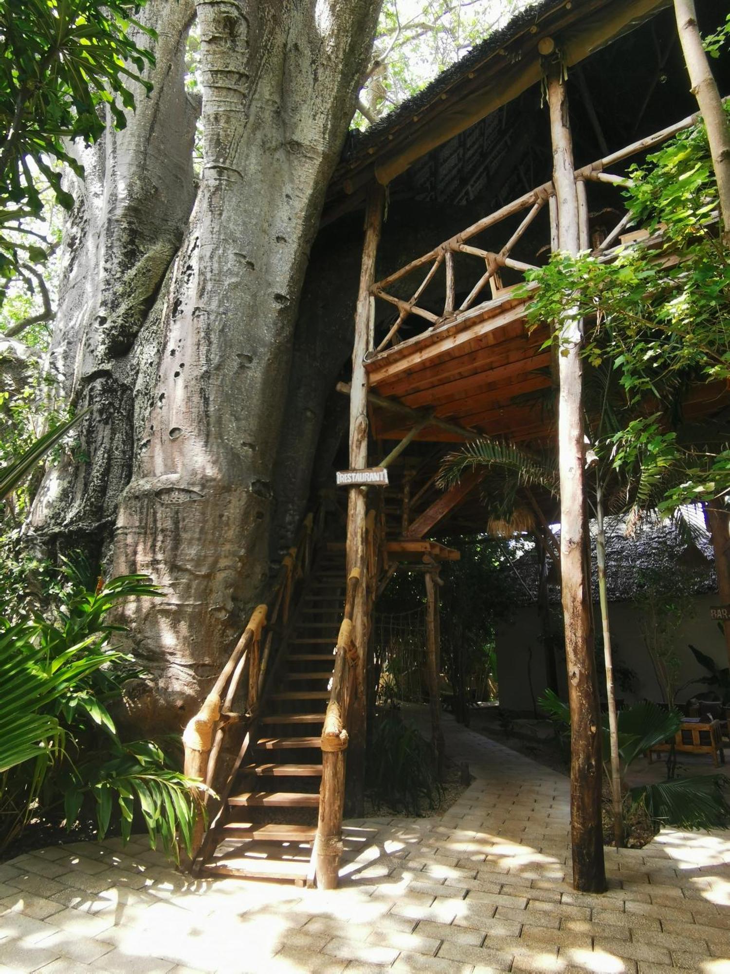 Baobab Africa Lodge Zanzibar Mtende Dış mekan fotoğraf